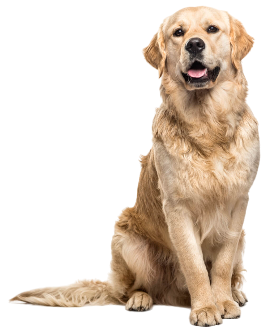 Emergency Animal Clinic in Topeka, KS